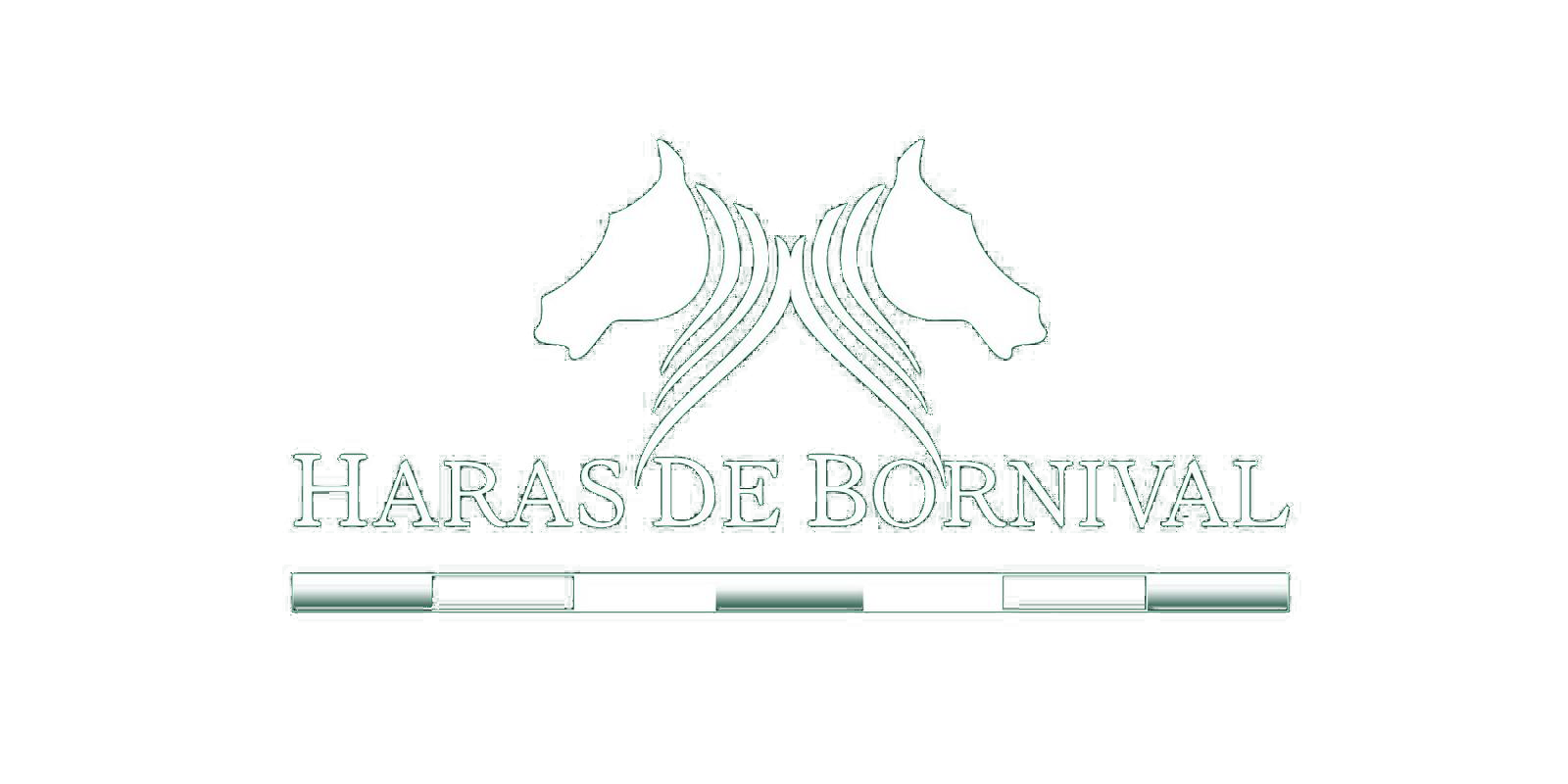Haras de Bornival Logo