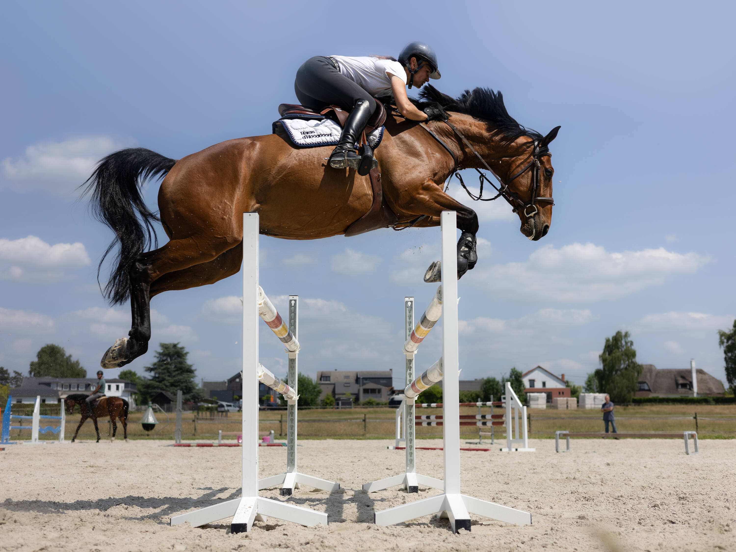 Mister big d'hoogpoort