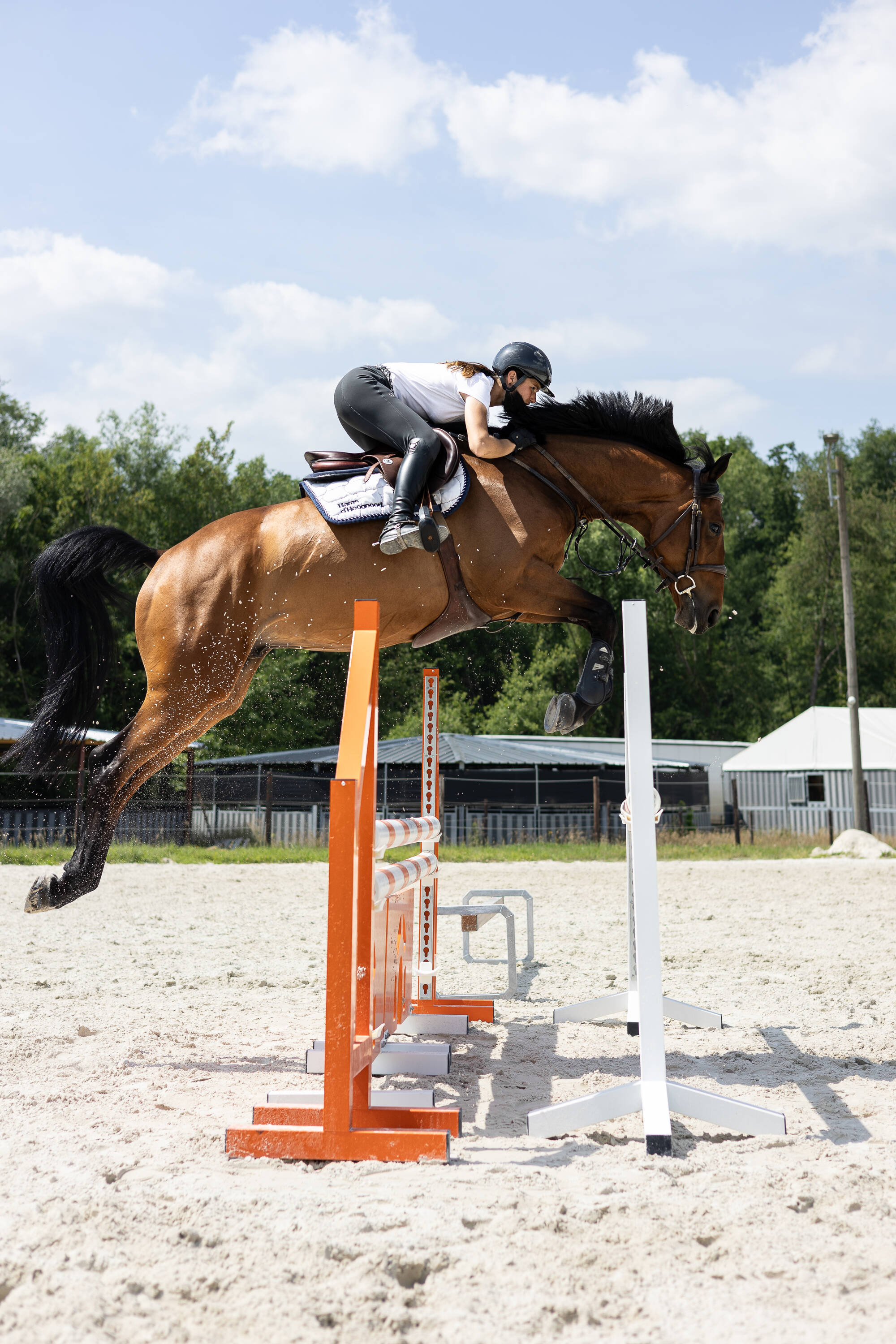 Mister big d'hoogpoort